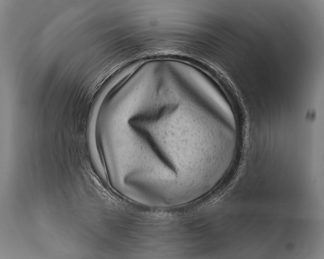 X0000111580785200908061324