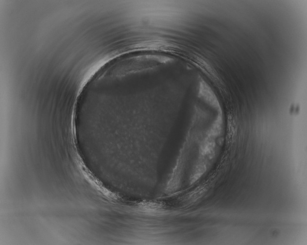 X0000111580788200908061324