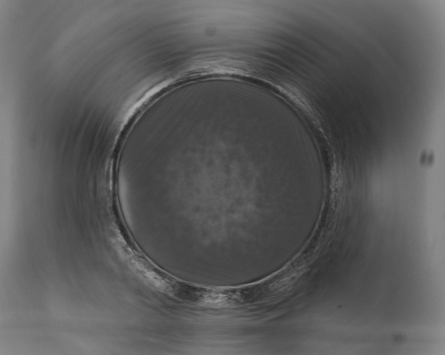 X0000111580790200908061323