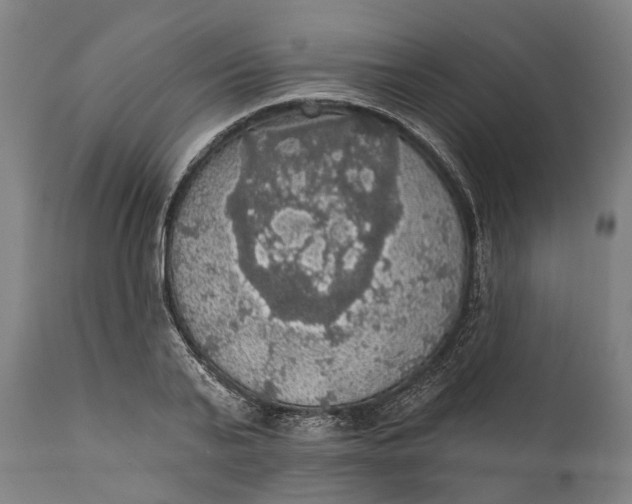 X0000111580791200908061323