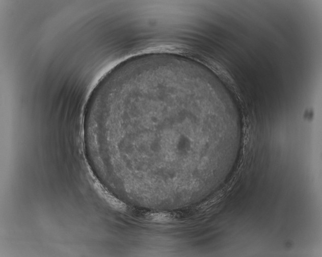 X0000111580792200908061323