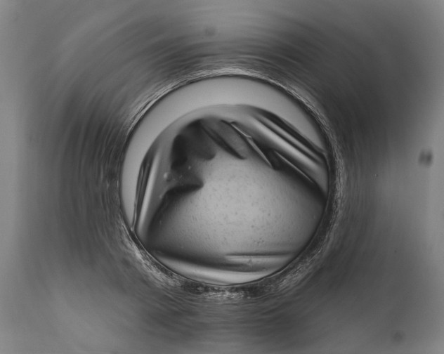 X0000111580793200908061323