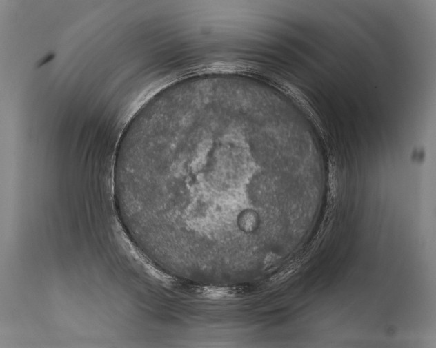 X0000111580794200908061323