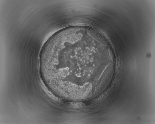 X0000111580795200908061323