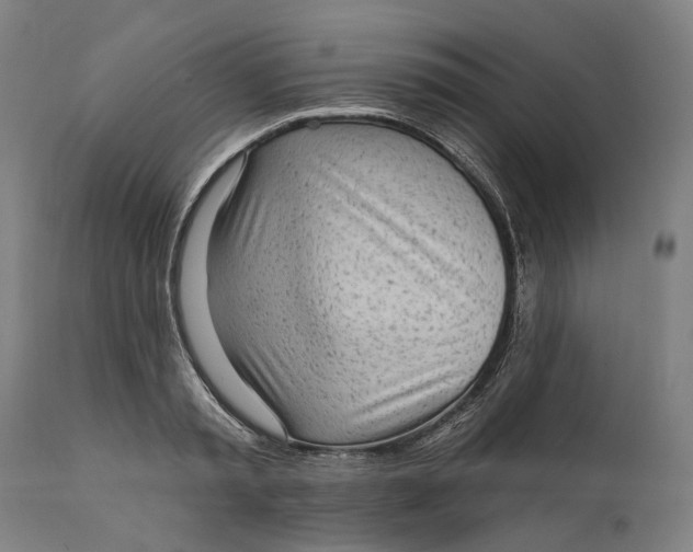 X0000111580797200908061323