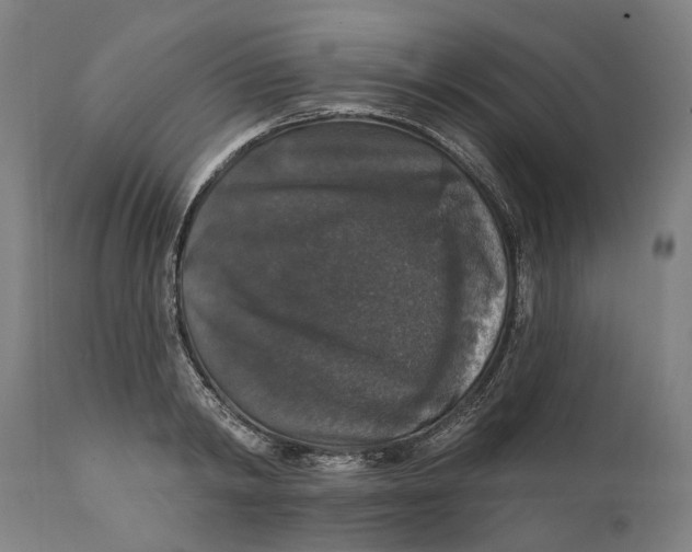 X0000111580798200908061323