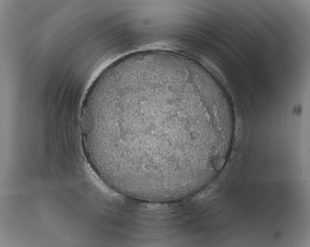 X0000111580800200908061323