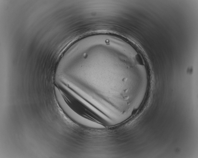 X0000111580801200908061323