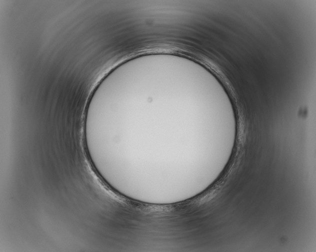 X0000111580802200908061323