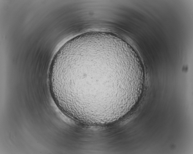 X0000111580803200908061323