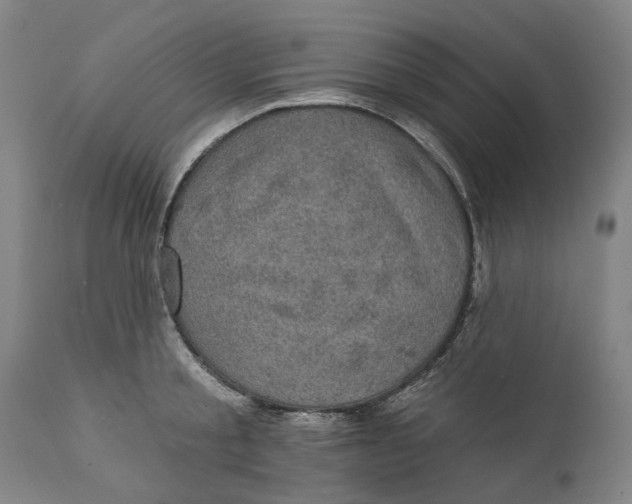 X0000111580805200908061323