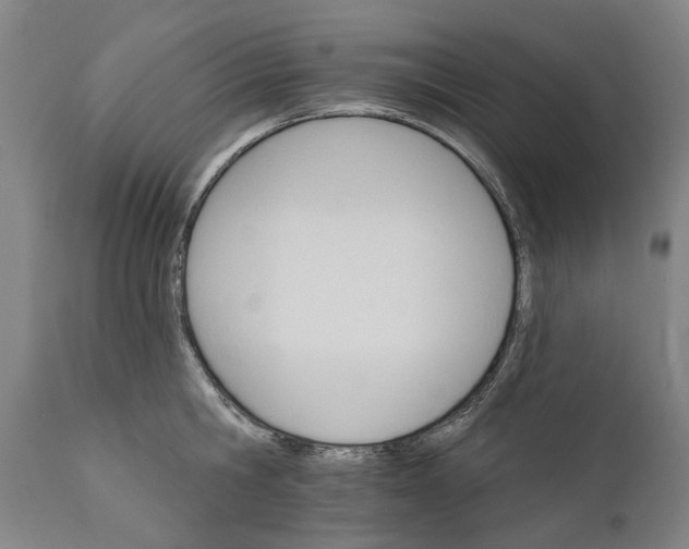 X0000111580806200908061323