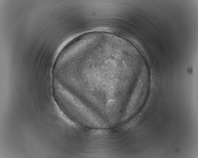 X0000111580808200908061323