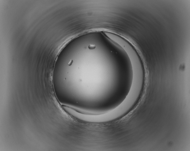 X0000111580809200908061323