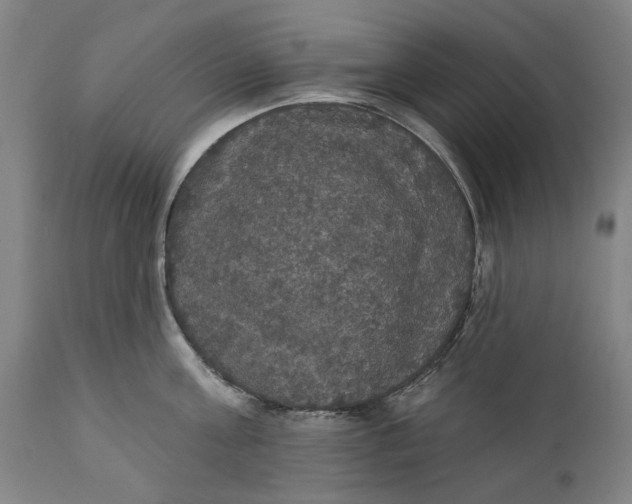 X0000111580811200908061323