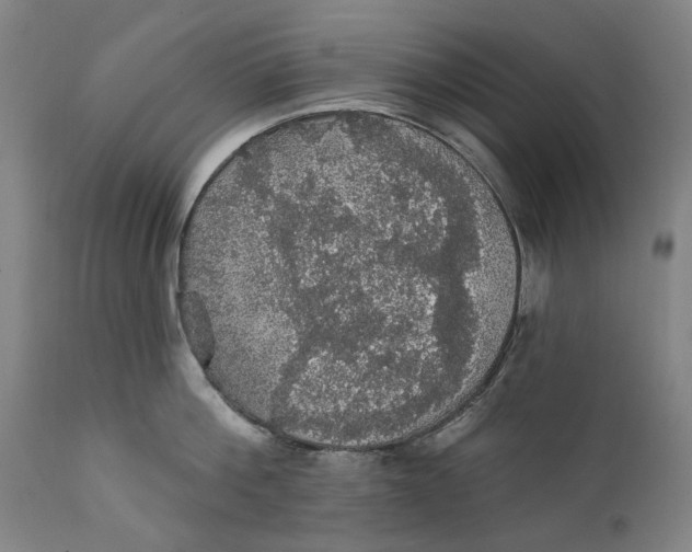 X0000111580812200908061323