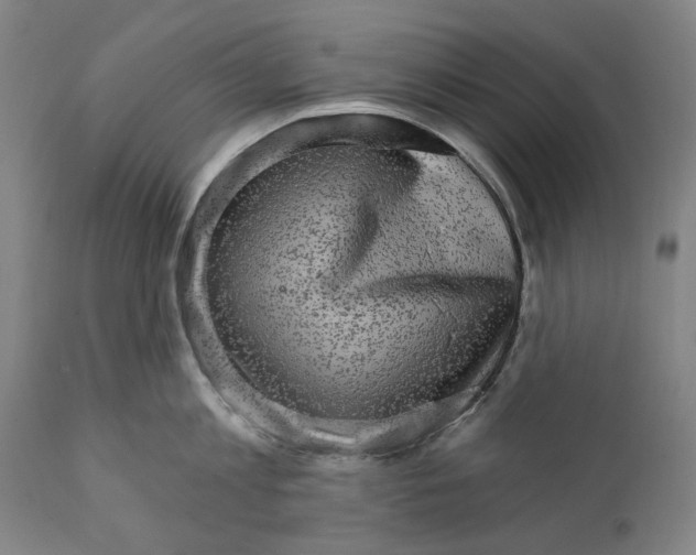 X0000111580813200908061323