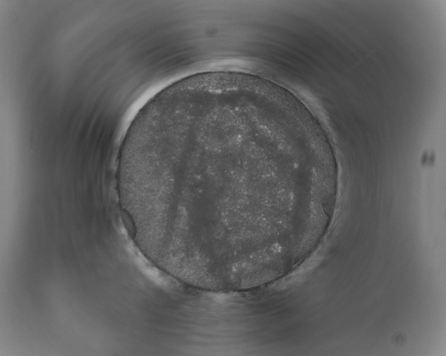 X0000111580816200908061323