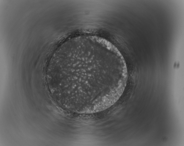 X0000111580817200908061322