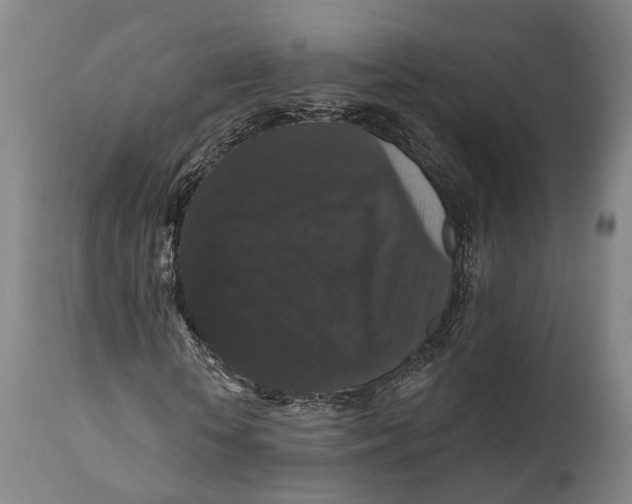 X0000111580818200908061322