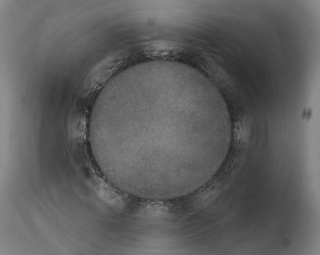 X0000111580820200908061323