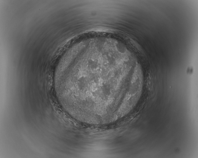 X0000111580821200908061323