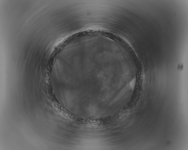 X0000111580823200908061323