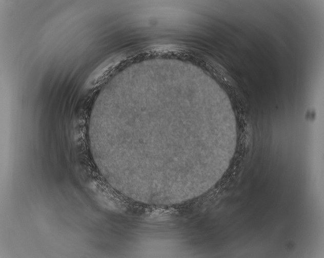 X0000111580824200908061323