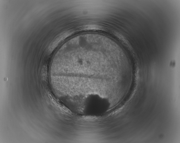 X0000111580825200908061323