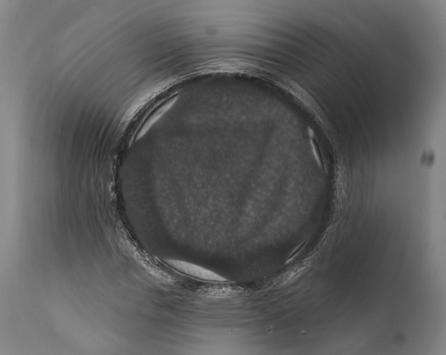 X0000111580826200908061323