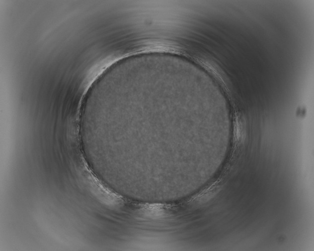 X0000111580828200908061323