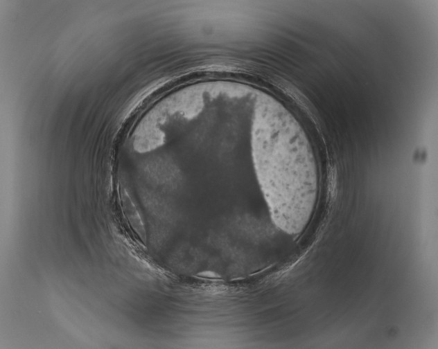 X0000111580829200908061323