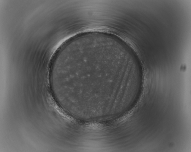 X0000111580830200908061323