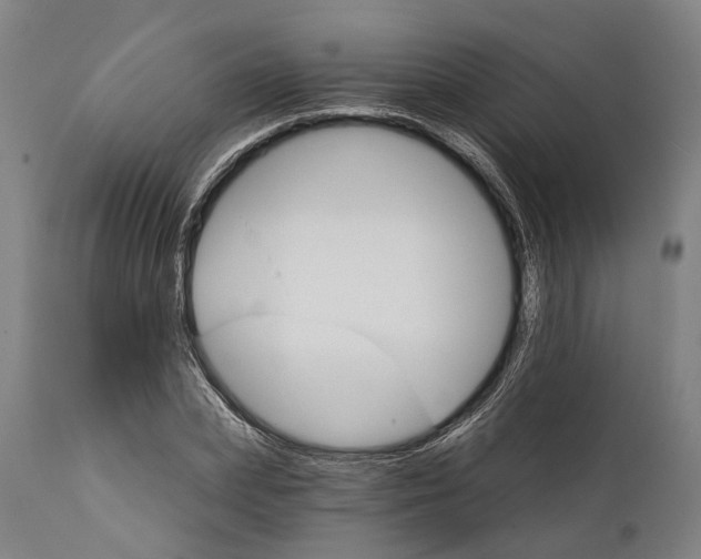 X0000111580831200908061323