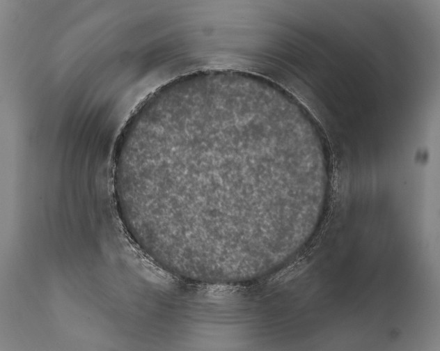 X0000111580832200908061323