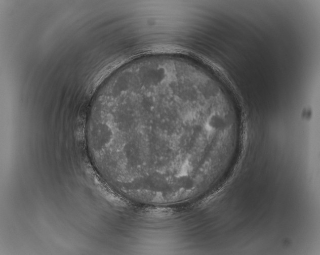 X0000111580833200908061323