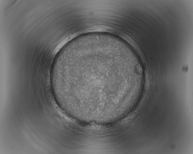 X0000111580834200908061323