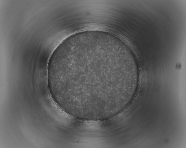 X0000111580836200908061323