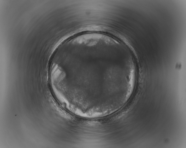 X0000111580837200908061323