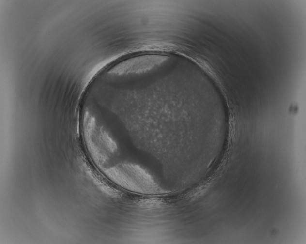 X0000111580838200908061323