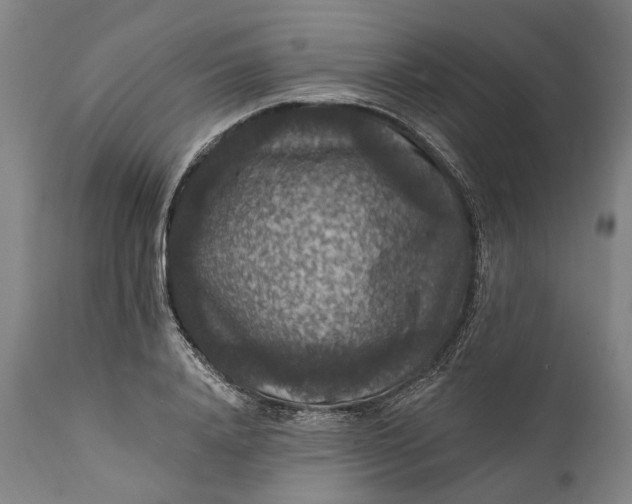 X0000111580840200908061323