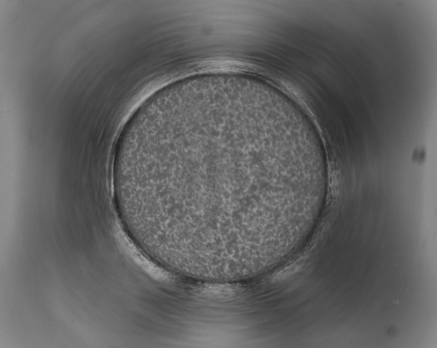 X0000111580843200908061323