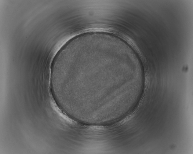 X0000111580844200908061323