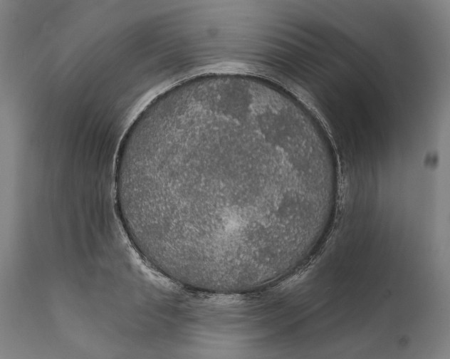 X0000111580845200908061323