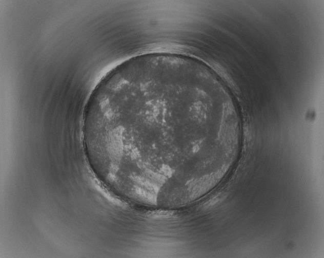 X0000111580846200908061323