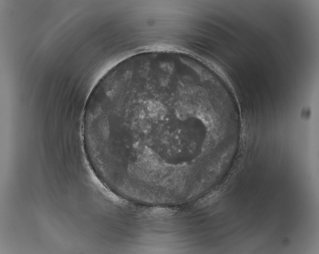 X0000111580847200908061323