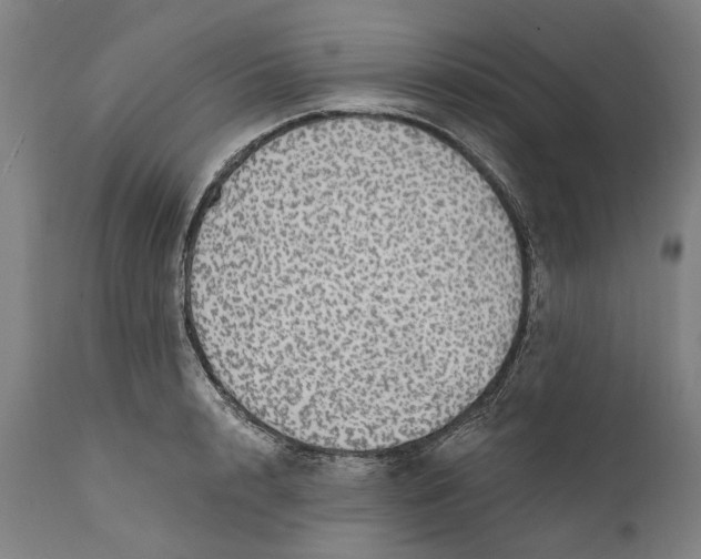 X0000111580848200908061323