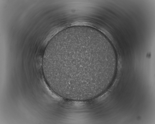 X0000111580849200908061323