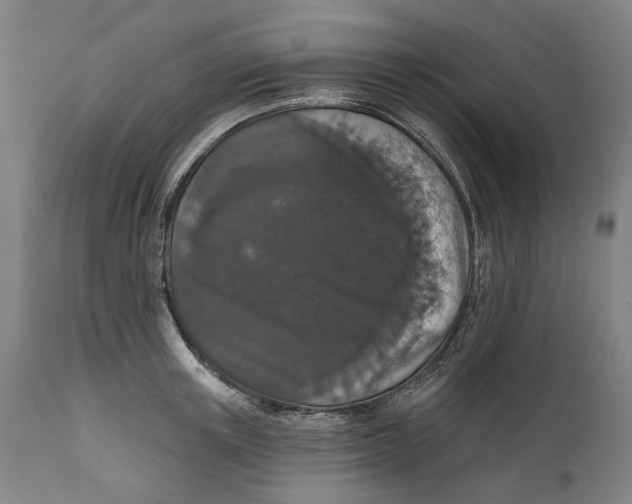 X0000111580851200908061323