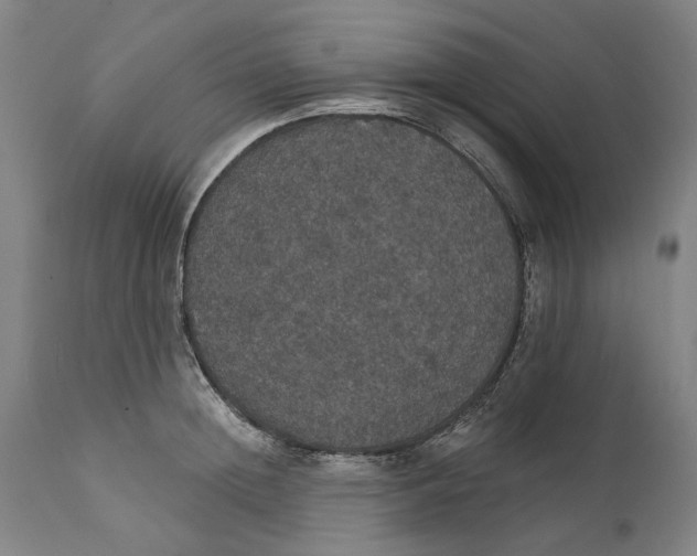 X0000111580852200908061323